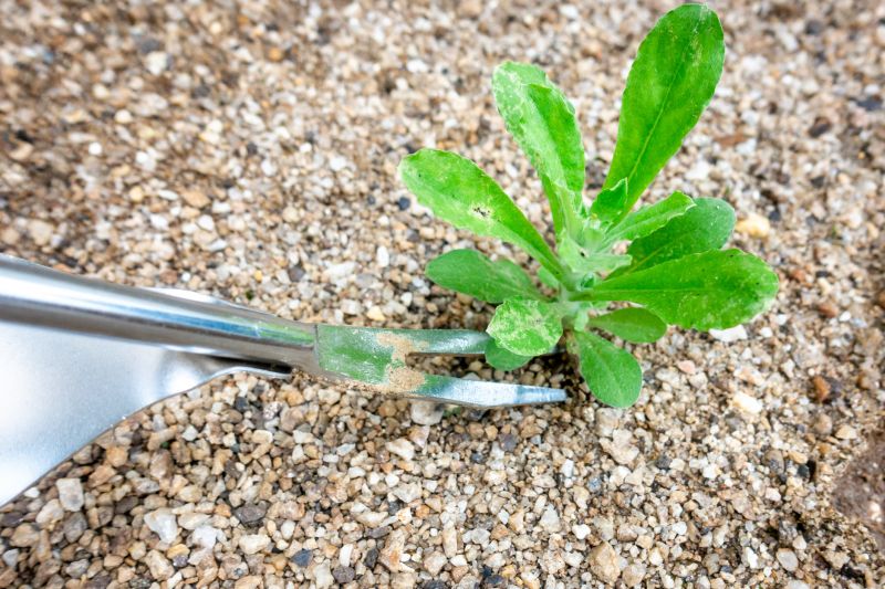 Gravel Removal Service